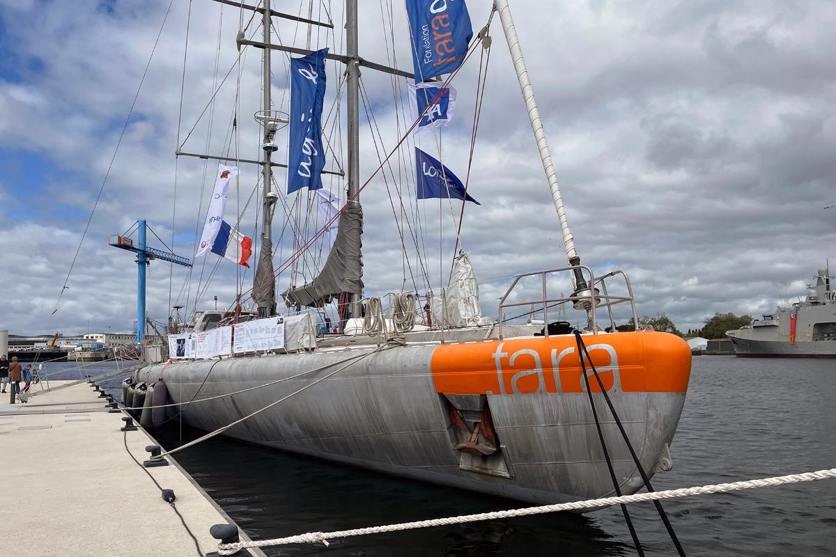 Seilbåten Tara.jpg Seilskip til kai